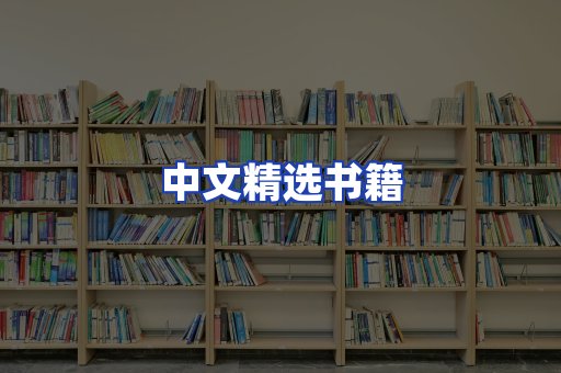 中文精选书籍